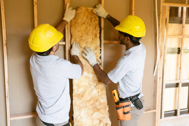 Best Insulation for New Construction  in Reedsburg, WI